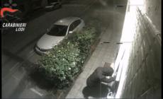 Assalti ai bancomat con la tecnica della marmotta: 5 arresti nel Lodigiano - Video: alcuni colpi "in diretta" 