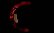 "Siamo serie": La nostra terra, Soulmates e A Man on the Inside