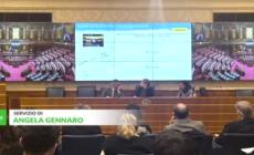 D'Elia: "Sui flussi e' necessario rendere il sistema piu' flessibile"