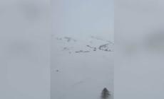Valanga in Valle d'Aosta, scialpinisti coinvolti: la difficile operazione di salvataggio