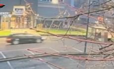 Investito piu' volte e ucciso davanti a un centro commerciale nel Veronese