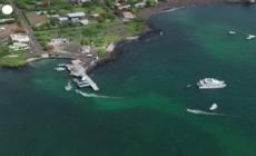 158 tartarughe giganti sono state liberate sull'isola di Floreana, in Ecuador