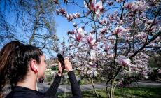 Si apre una nuova settimana di bel tempo primaverile