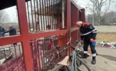 Sgombero al parco Sempione di Torino, Marrone: "Restituiamo l'area ai cittadini"