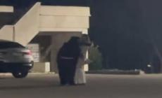 Famiglia nel bosco, la legale dei genitori: "Cacciata la madre"