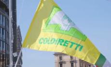 Prandini (Coldiretti): "Con la guerra due miliardi di export a rischio"