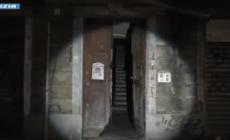 Cuccioli di malinois rinchiusi in uno stabile abbandonato a Torino: un denunciato - Il video della polizia 