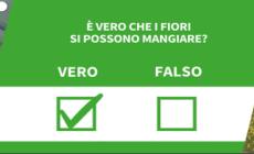 Ansa VERIFIED - E' vero che i fiori si possono mangiare?