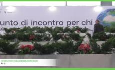 LetExpo fa boom: oltre 120 mila presenze