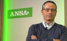 Referendum, il commento del direttore dell'ANSA