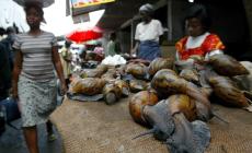 Storico voto all'Onu, il Ghana chiede un risarcimento per la schiavit&ugrave;