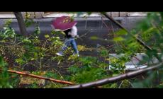 Vento forte in Fvg, raffica record a 216 km orari sul Monte Rest