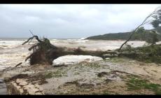 Neve, onde fino a 10 metri e venti di burrasca, &egrave; colpo di coda dell'inverno