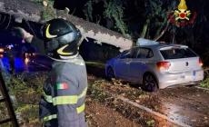 Emilia-Romagna sferzata dal vento, oltre cento interventi dei pompieri