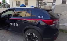 Un caimano, due anaconda e boa pericolosi, rettilario illegale sequestrato nel Barese
