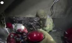 Soccorritori cercano sopravvissuti tra le macerie a Teheran