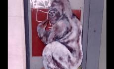 Per 1 Aprile provocazione del Banksy triestino, uno scimpanz&egrave; che scrive