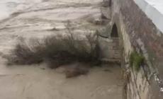 Maltempo nel Foggiano, campagne allagate dopo l'esondazione del Cervaro