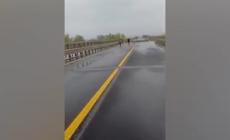 Maltempo, in Molise crolla ponte sul Trigno lungo la statale 16 Adriatica