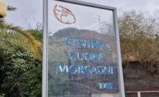 Donna accoltellata a Catania, direttore rianimazione: "E' stabile, situazione miracolosa"