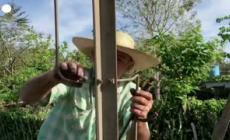 Crisi energetica e carenza di elettricita' a Cuba, c'e' chi "rispolvera" i mulini a vento