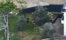 Libano, bombardamento mirato di un edificio da parte di Israele