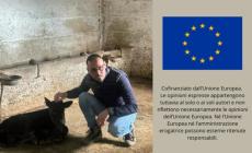 Primo ok Pe alle norme per rafforzare la posizione contrattuale degli agricoltori