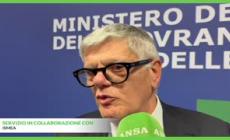 Ismea, vino settore piu' assicurato con oltre 2 miliardi di euro