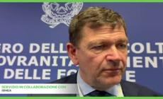 Il vino conferma la sua leadership e guarda a nuovi mercati - Video