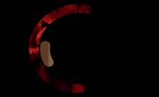 "Siamo serie": L'amore che non muore, Legenden: L'infiltrata e Wanda