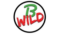 B-Wild