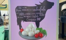 La Mozzarella di bufala campana "chiama" i Millennials sui social
