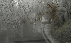 Berceto nella morsa del ghiaccio  Gallery