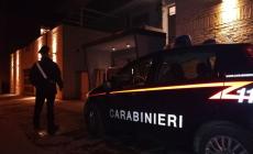 Vicini di casa (e un cane) "guardiani": sventati due furti in città