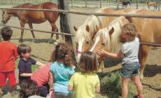 Turismo rurale, un milione dalla Regione 