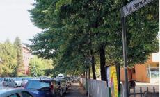 Inseguimento contromano in tangenziale: ma i ladri-bis riescono a fuggire
