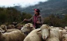 "In questo mondo" Alle 17,30 al cinema Edison