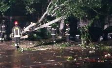 Viale Villetta, altri tre alberi finiscono ko. In via Calabria colpito il tetto di una casa