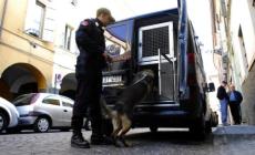 Calano i reati denunciati. Aumentano spaccio e furti sulle auto