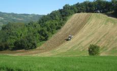 Quasi 1 milione di euro per le imprese agricole e per la "filiera del bosco" di Parma e Piacenza