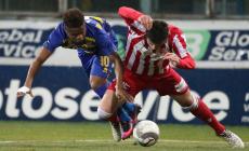 Offese all'arbitro dopo Parma-Forlì: D'Aversa e Calaiò squalificati per due giornate