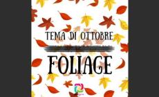 "Foliage": fotografa su Instagram con gli hashtag di IgersParma