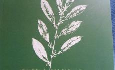 Presentazione dell'antologia "Voci di oggi"