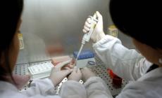 Vaccini: bimba respinta all'asilo 