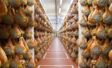 Maiali danesi per i prosciutti dop: patteggiano in dieci