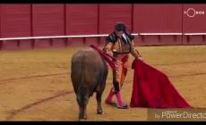 Prima di uccidere il toro asciuga le lacrime con un fazzoletto - Il video