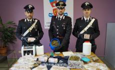 "Fiumi" di soldi e chili di droga nel garage di un parrucchiere di Guastalla