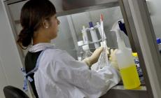 Legionella, Ghiretti attacca Pizzarotti: "In tv a ridere anziché pretendere giustizia"
