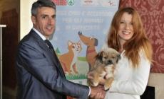 Raccolta di alimenti per gli animali delle zone colpite da terremoto e maltempo