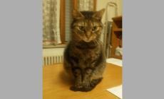 Appello urgente per Fidel e Ariel 